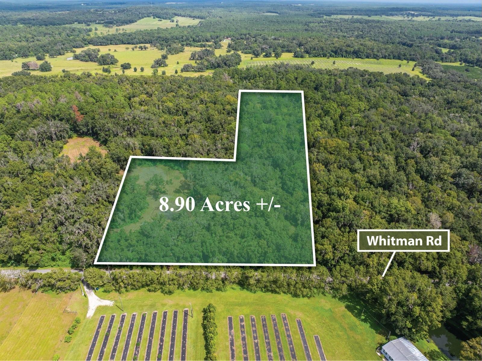00 WHITMAN RD, BROOKSVILLE, FL, 34601