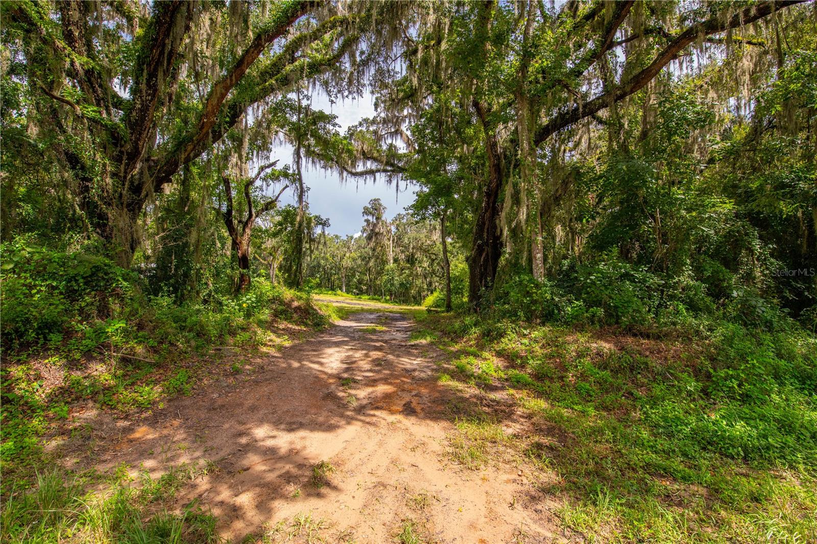 00 WHITMAN RD, BROOKSVILLE, FL, 34601