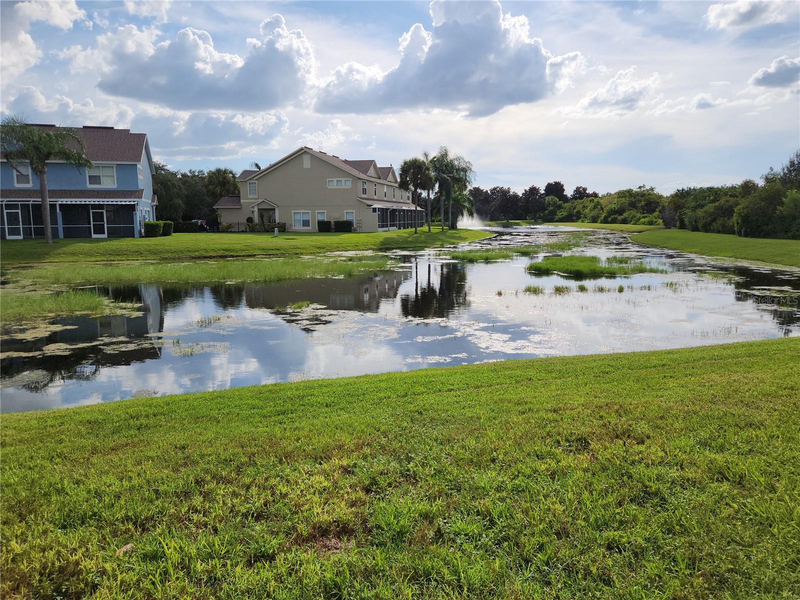 11074 WINTER CREST DR, RIVERVIEW, FL, 33569