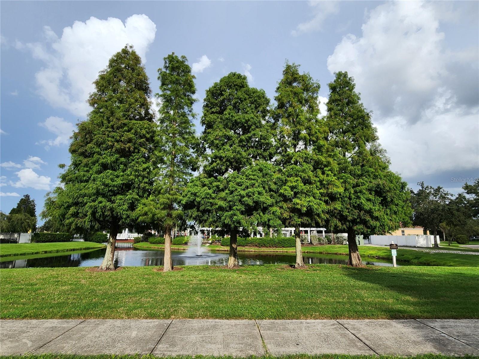11074 WINTER CREST DR, RIVERVIEW, FL, 33569