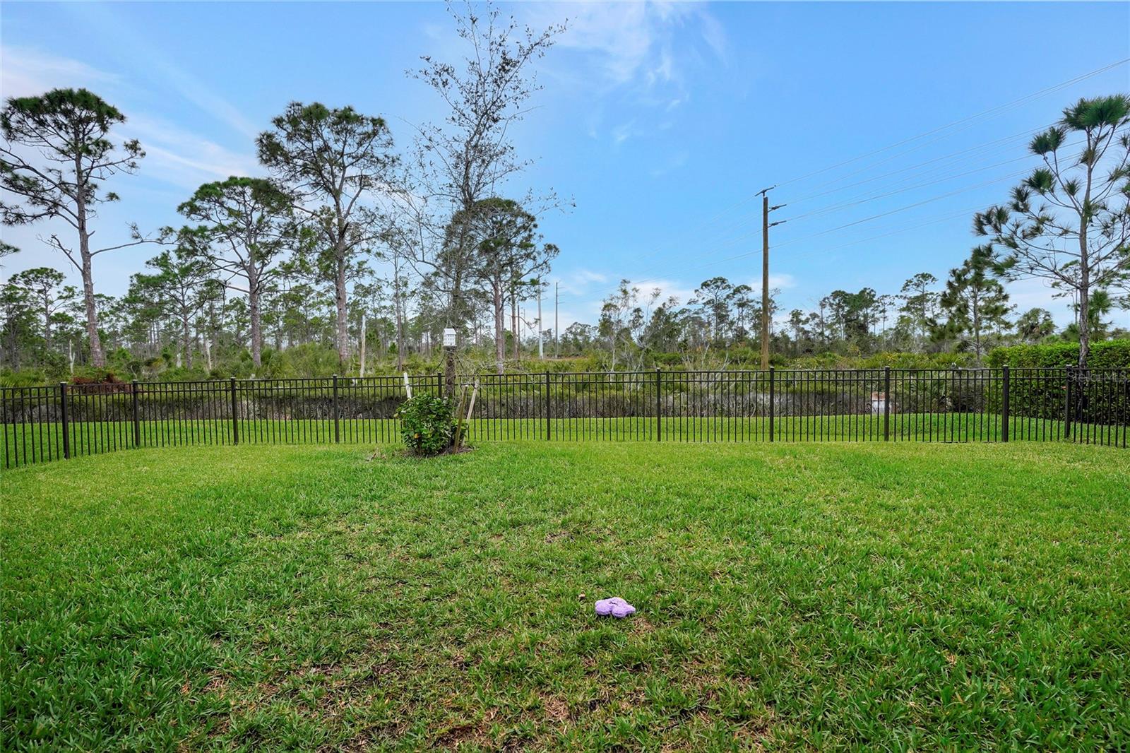 19753 ESTERO POINTE LN, FORT MYERS, FL, 33908