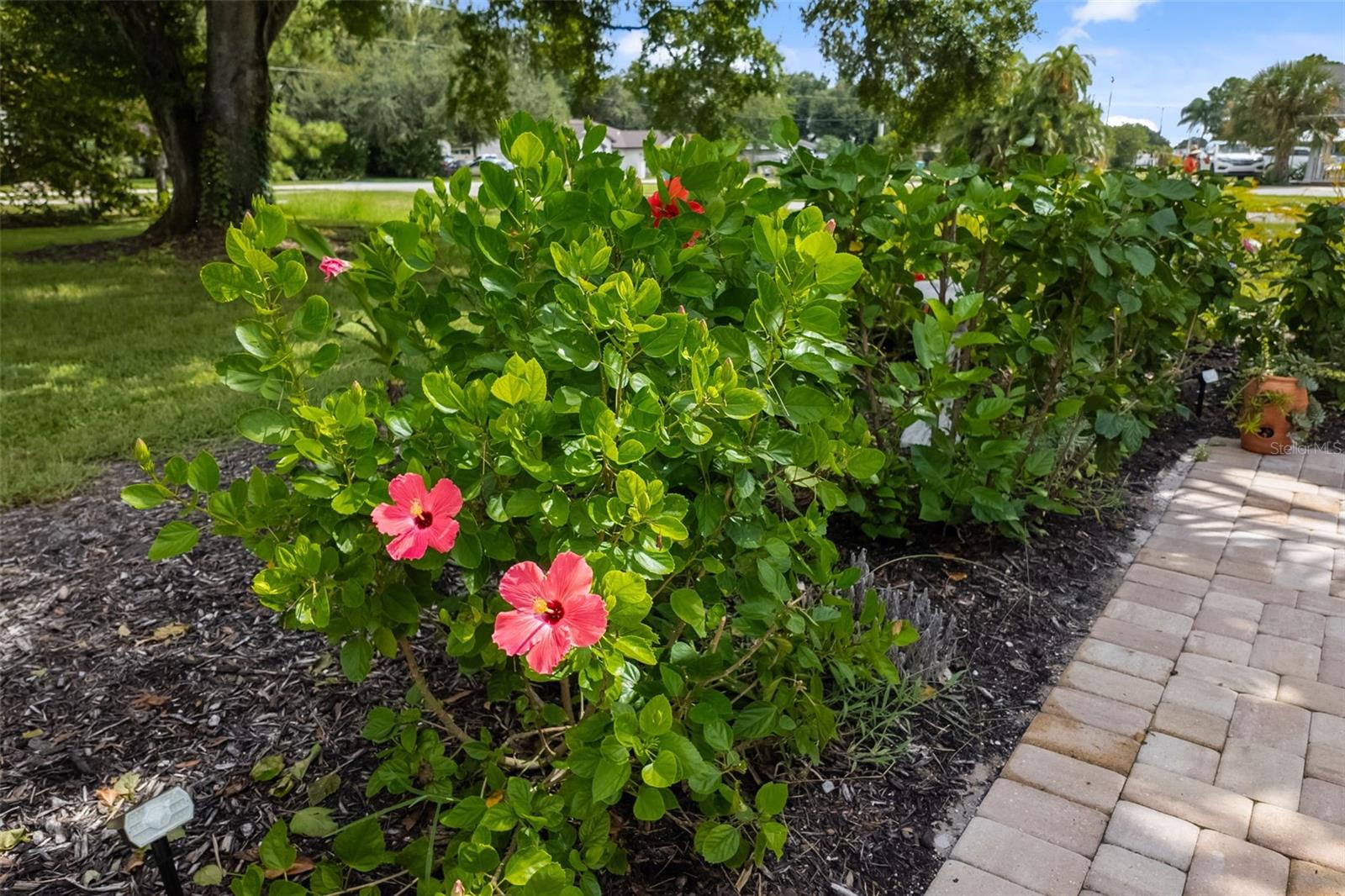 1525 17TH ST W, PALMETTO, FL, 34221