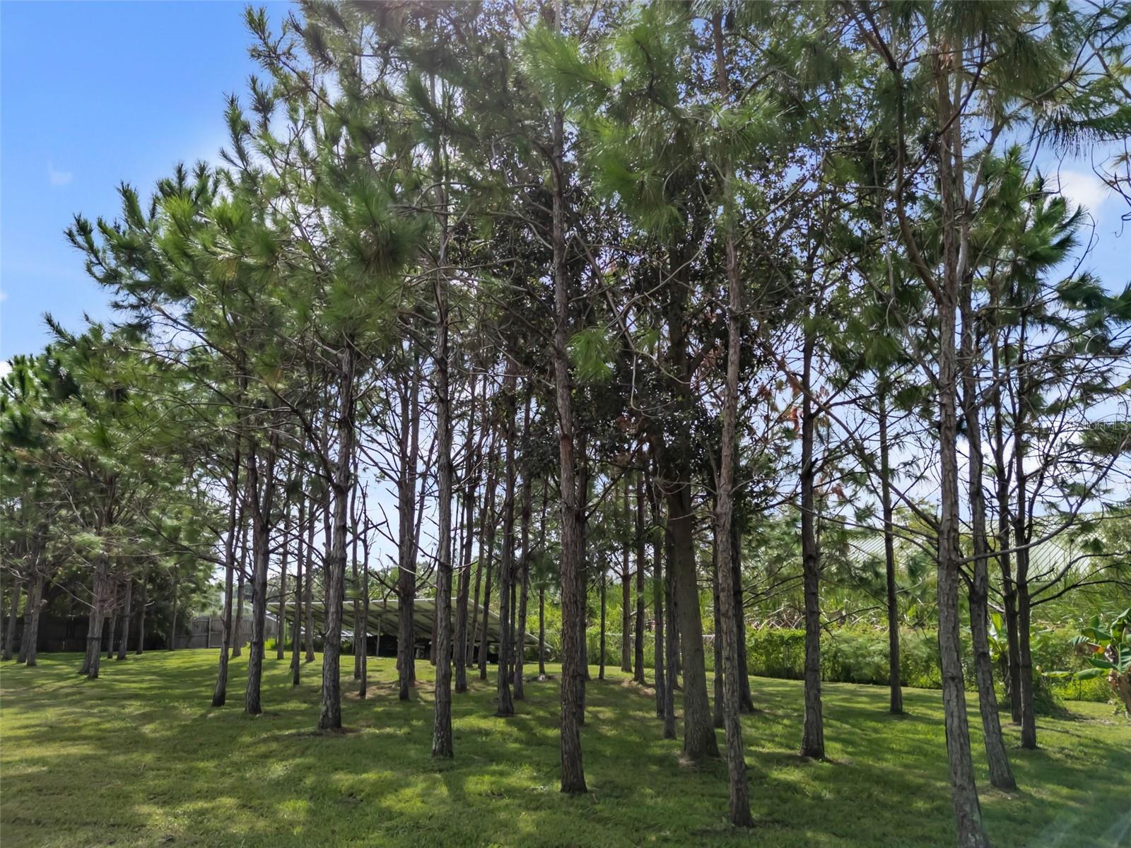 1525 17TH ST W, PALMETTO, FL, 34221