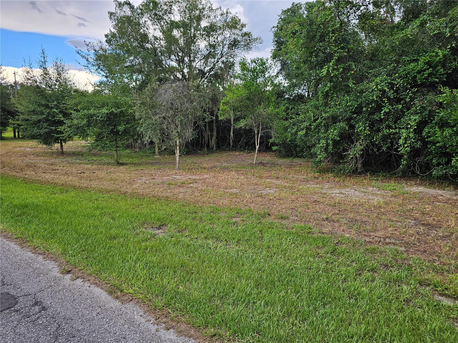 00 CARSON DR,, LAND O LAKES, FL, 34639