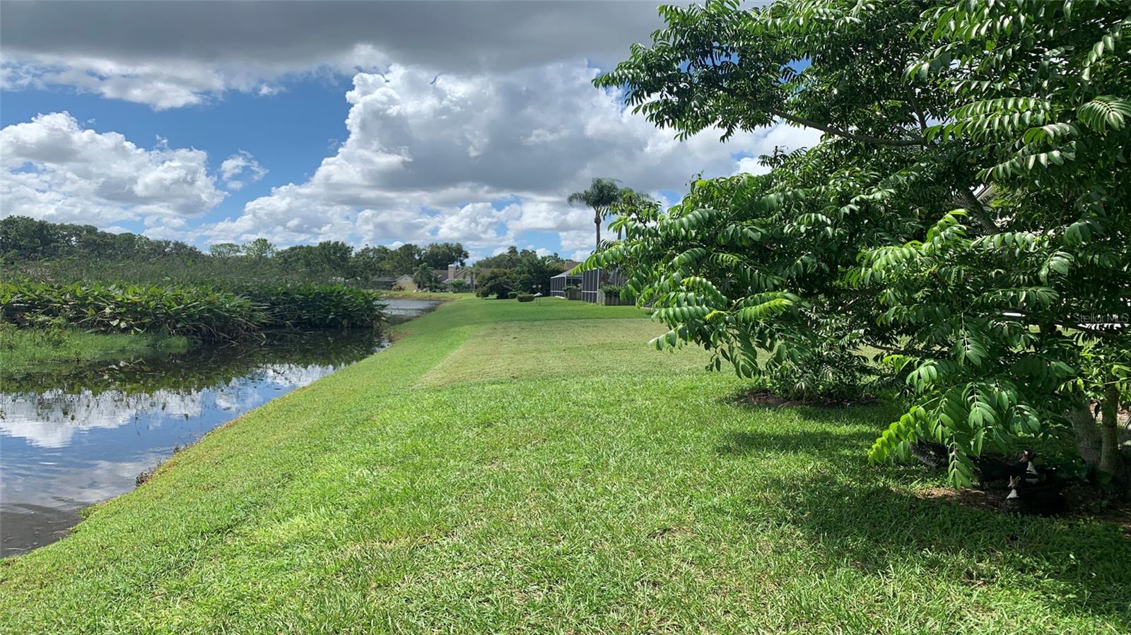 16505 LAKE HEATHER DR, TAMPA, FL, 33618