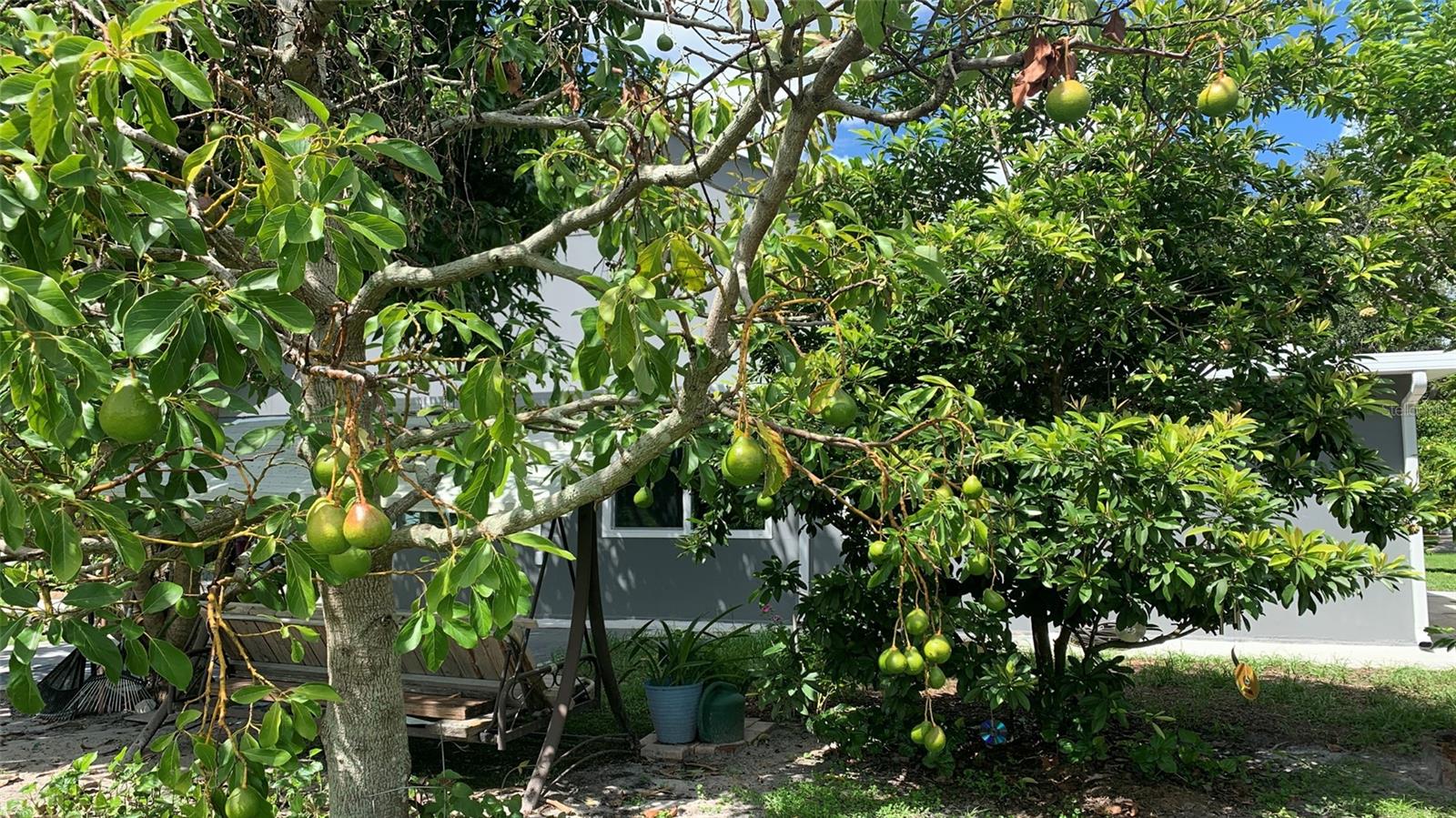 16505 LAKE HEATHER DR, TAMPA, FL, 33618