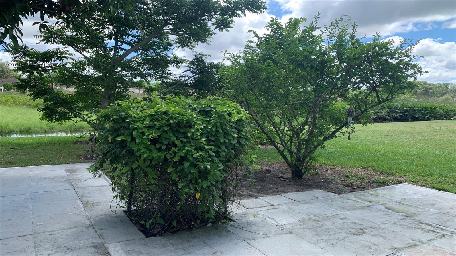 16505 LAKE HEATHER DR, TAMPA, FL, 33618
