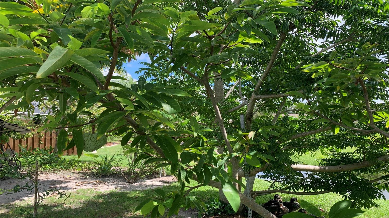 16505 LAKE HEATHER DR, TAMPA, FL, 33618