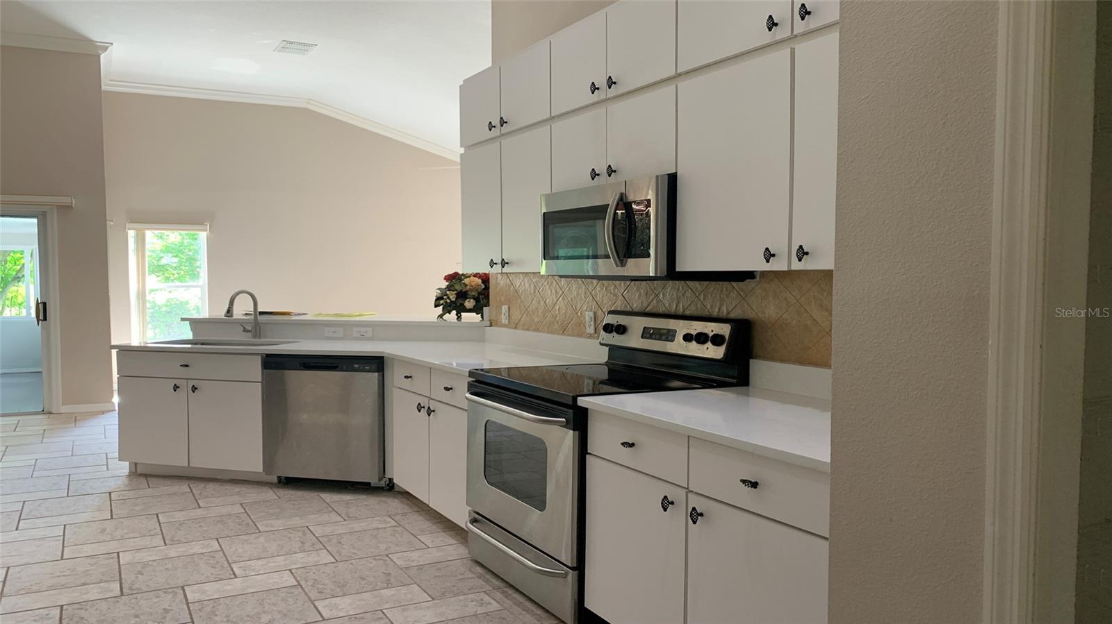 16505 LAKE HEATHER DR, TAMPA, FL, 33618