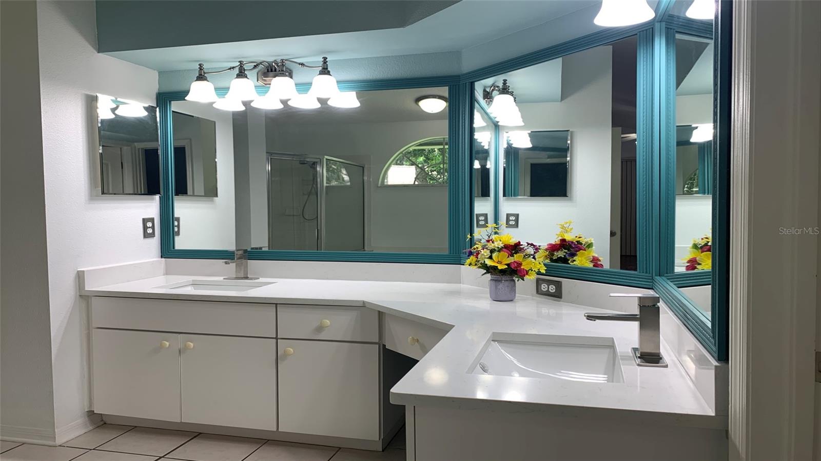 16505 LAKE HEATHER DR, TAMPA, FL, 33618