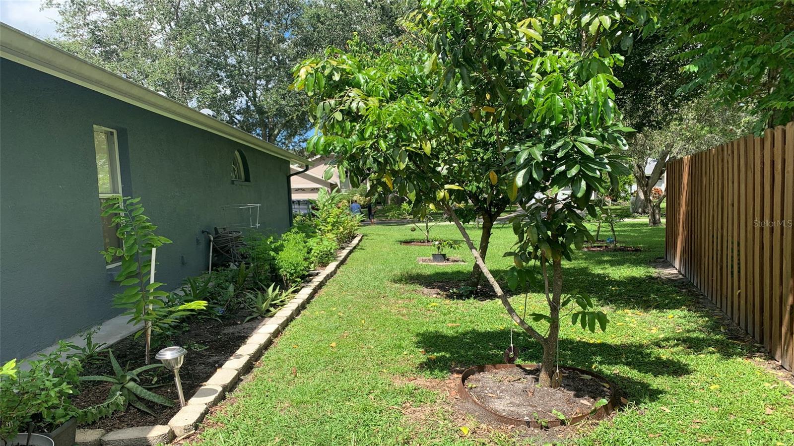 16505 LAKE HEATHER DR, TAMPA, FL, 33618