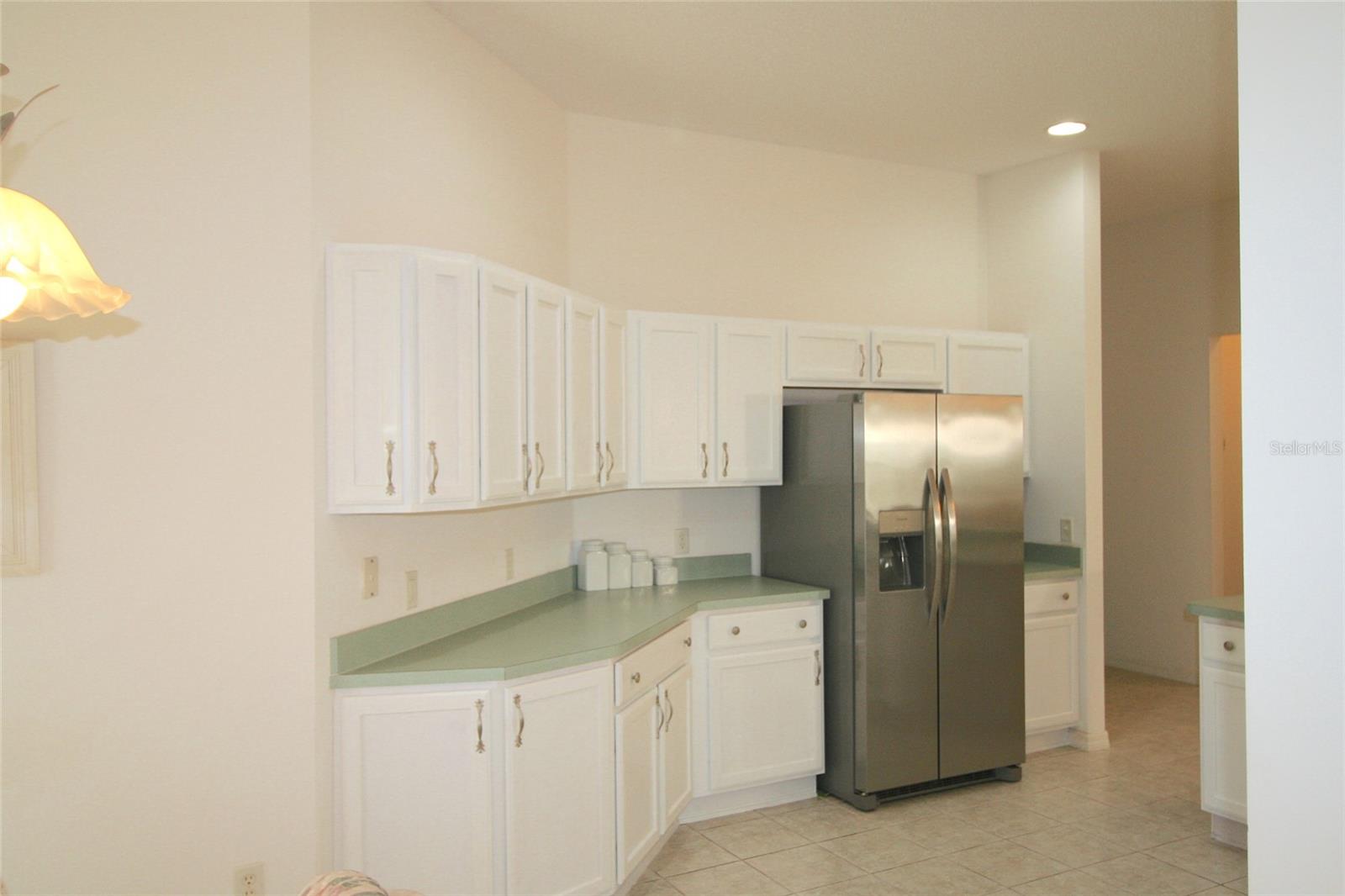 1153 OAK FOREST DR, THE VILLAGES, FL, 32162
