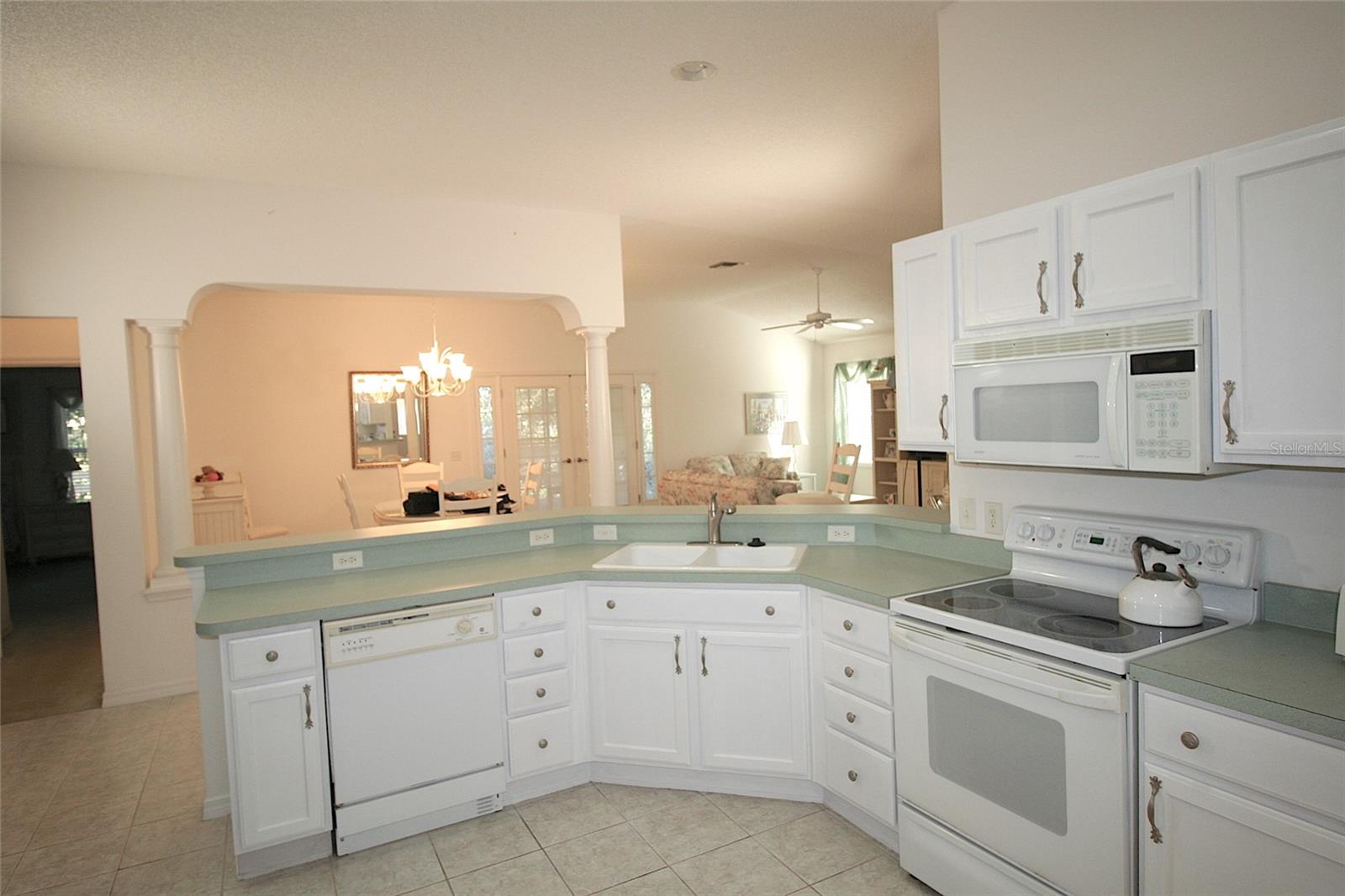 1153 OAK FOREST DR, THE VILLAGES, FL, 32162