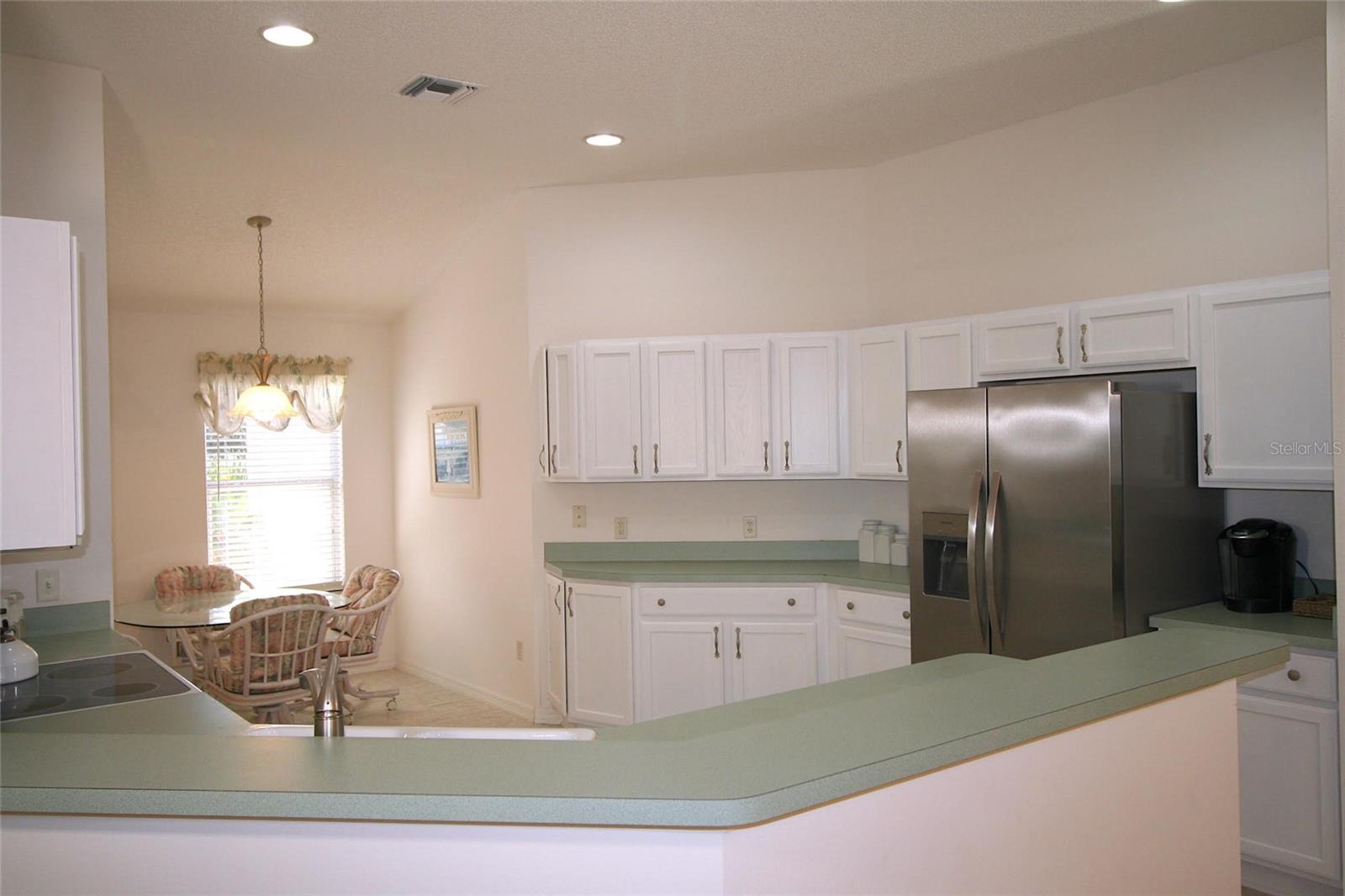 1153 OAK FOREST DR, THE VILLAGES, FL, 32162