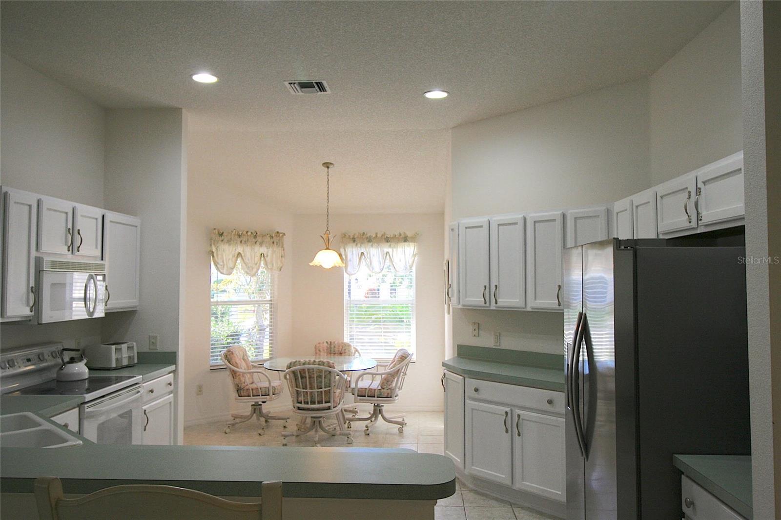 1153 OAK FOREST DR, THE VILLAGES, FL, 32162