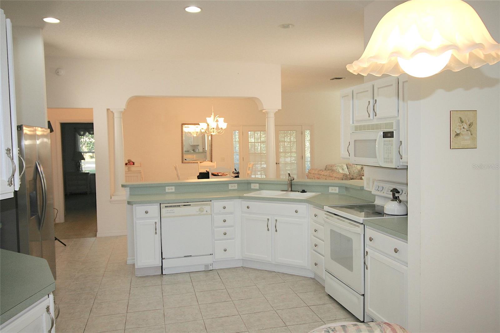 1153 OAK FOREST DR, THE VILLAGES, FL, 32162