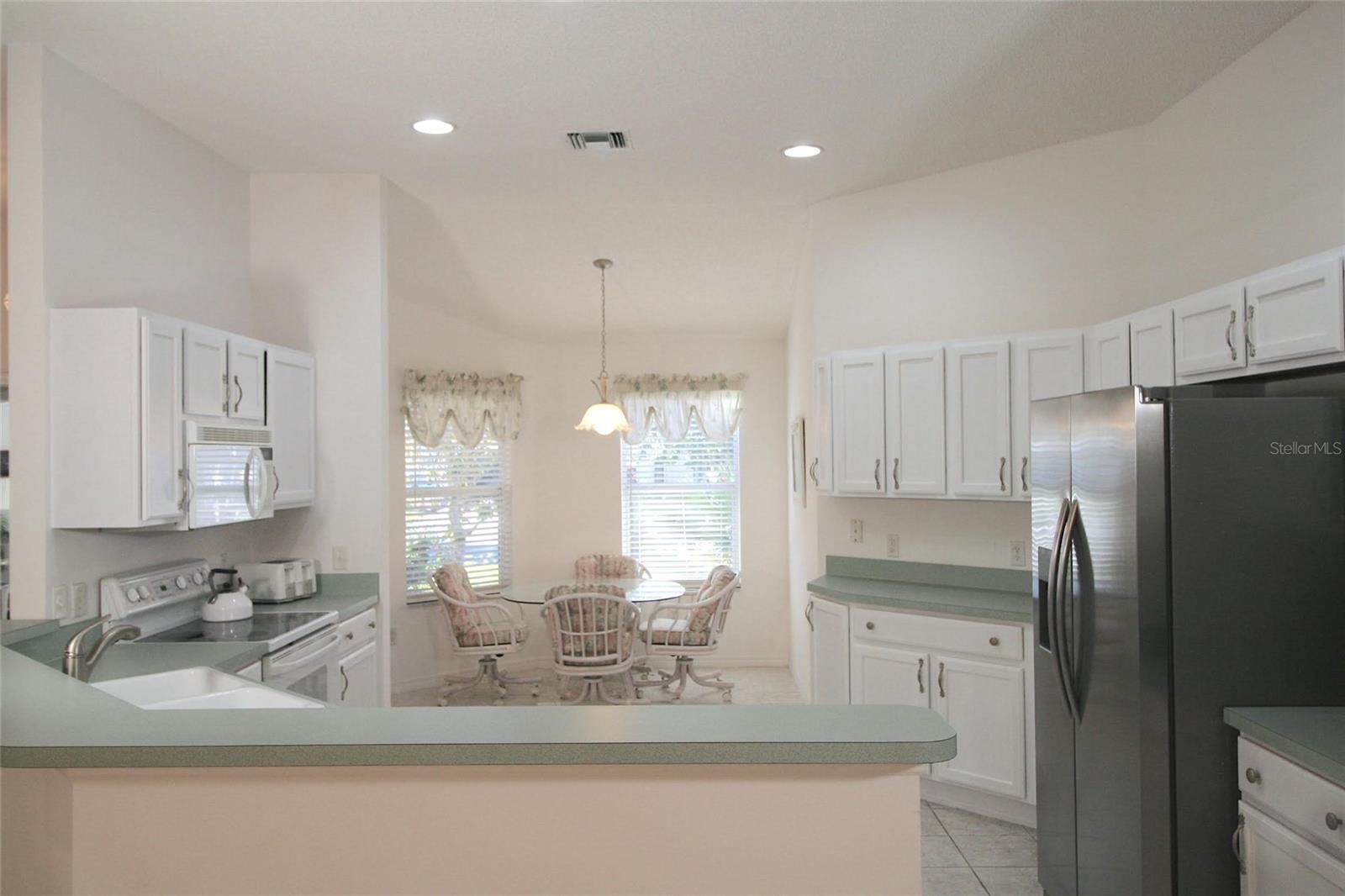 1153 OAK FOREST DR, THE VILLAGES, FL, 32162