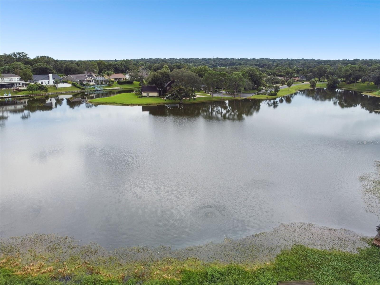 1001 ROLLING WOODS LN, LAKELAND, FL, 33813
