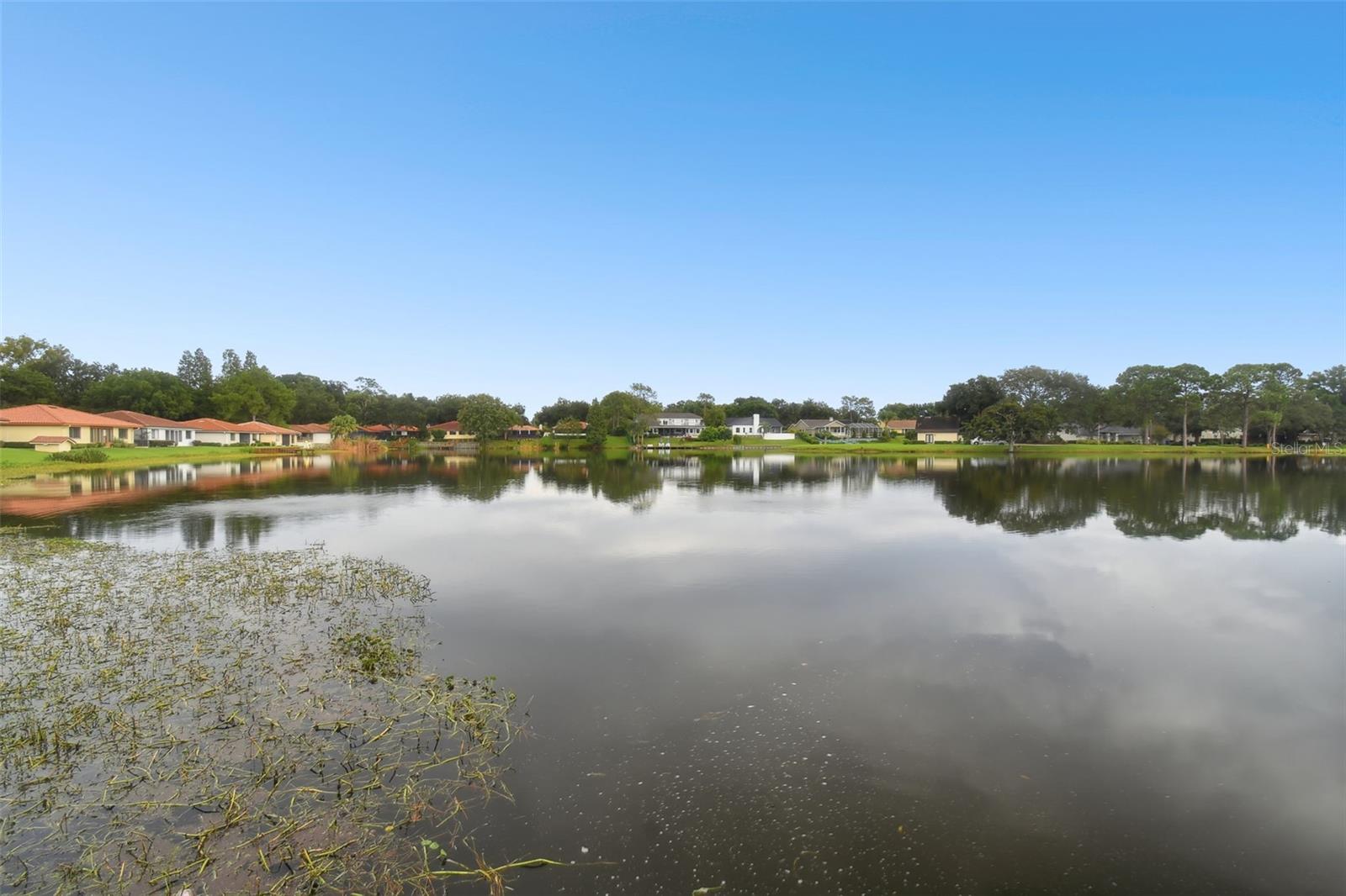 1001 ROLLING WOODS LN, LAKELAND, FL, 33813