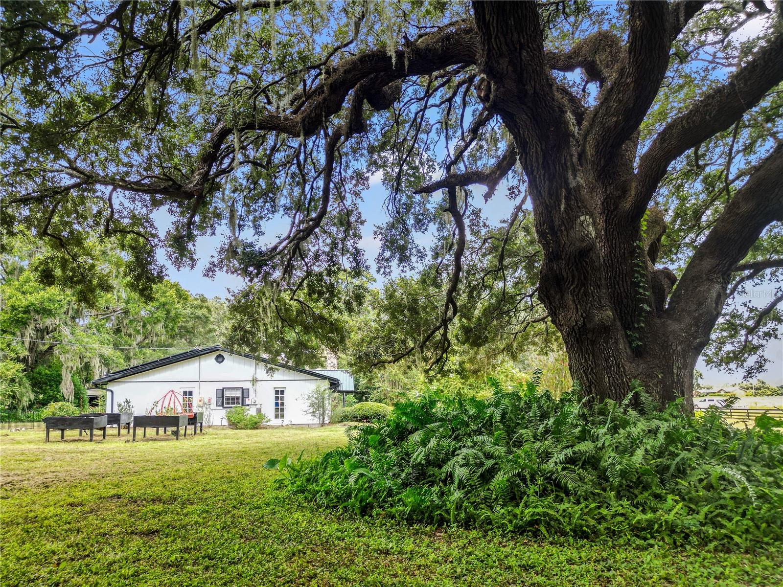 2029 E C 48, BUSHNELL, FL, 33513