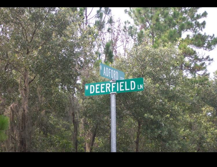 2156 W DEERFIELD LN, DUNNELLON, FL, 34434
