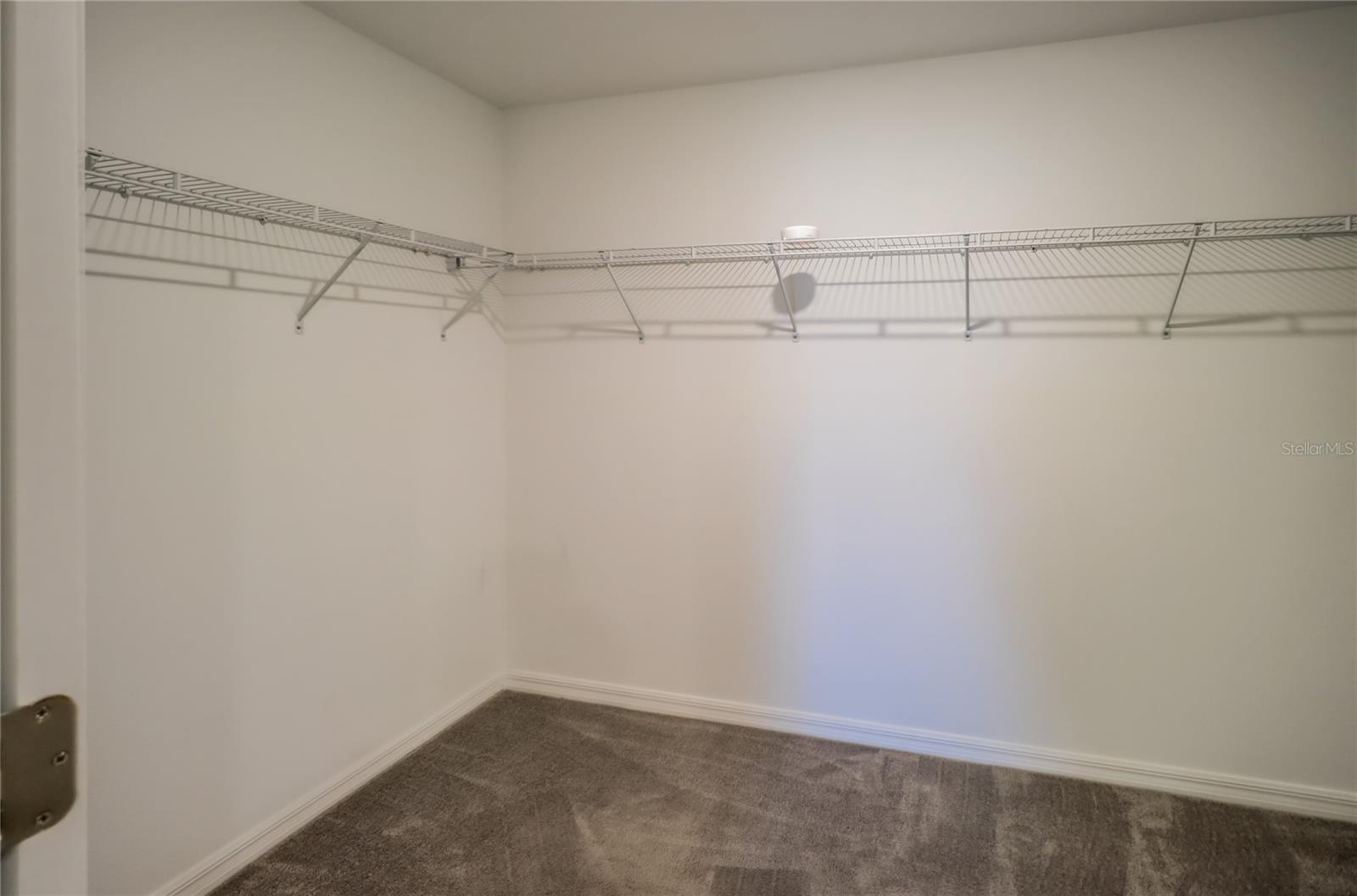31375 SUN KETTLE LOOP, WESLEY CHAPEL, FL, 33545