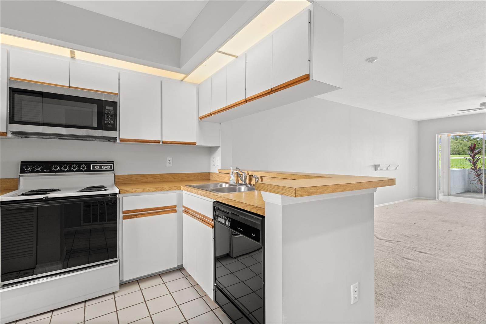 429 CERROMAR LN #353, VENICE, FL, 34293