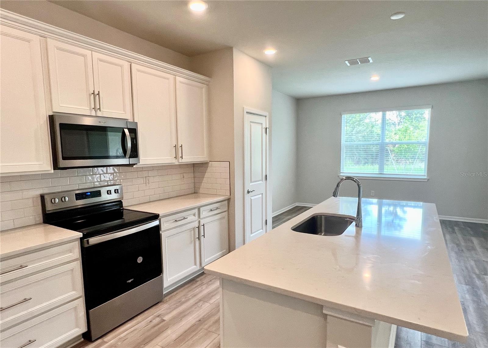 17471 SAW PALMETTO AVE, CLERMONT, FL, 34714