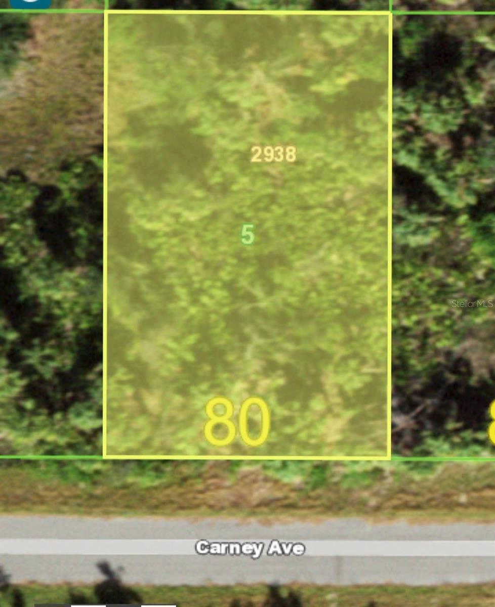 14148 CARNEY AVE, PORT CHARLOTTE, FL, 33953