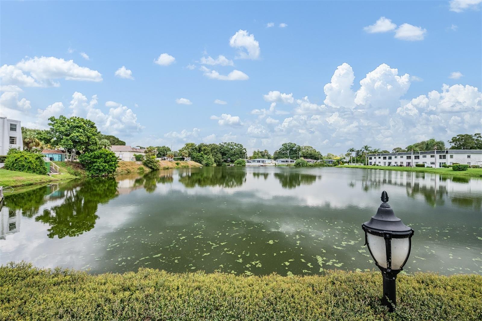 1655 S HIGHLAND AVE #J390, CLEARWATER, FL, 33756