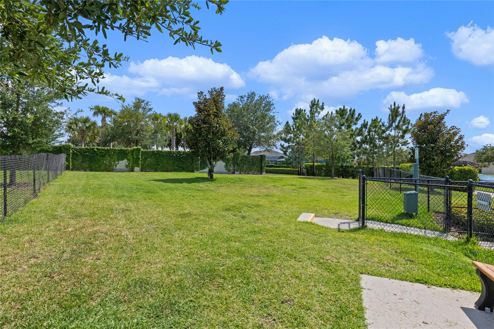15605 ORANGE HARVEST LOOP, WINTER GARDEN, FL, 34787