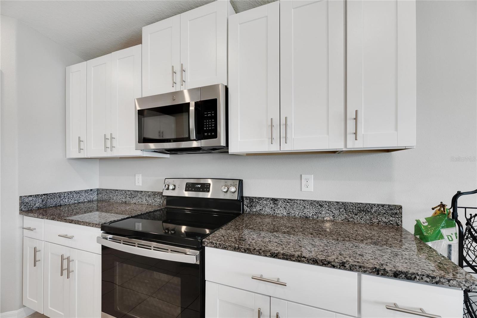 12832 WILDFLOWER MEADOW DR, RIVERVIEW, FL, 33579