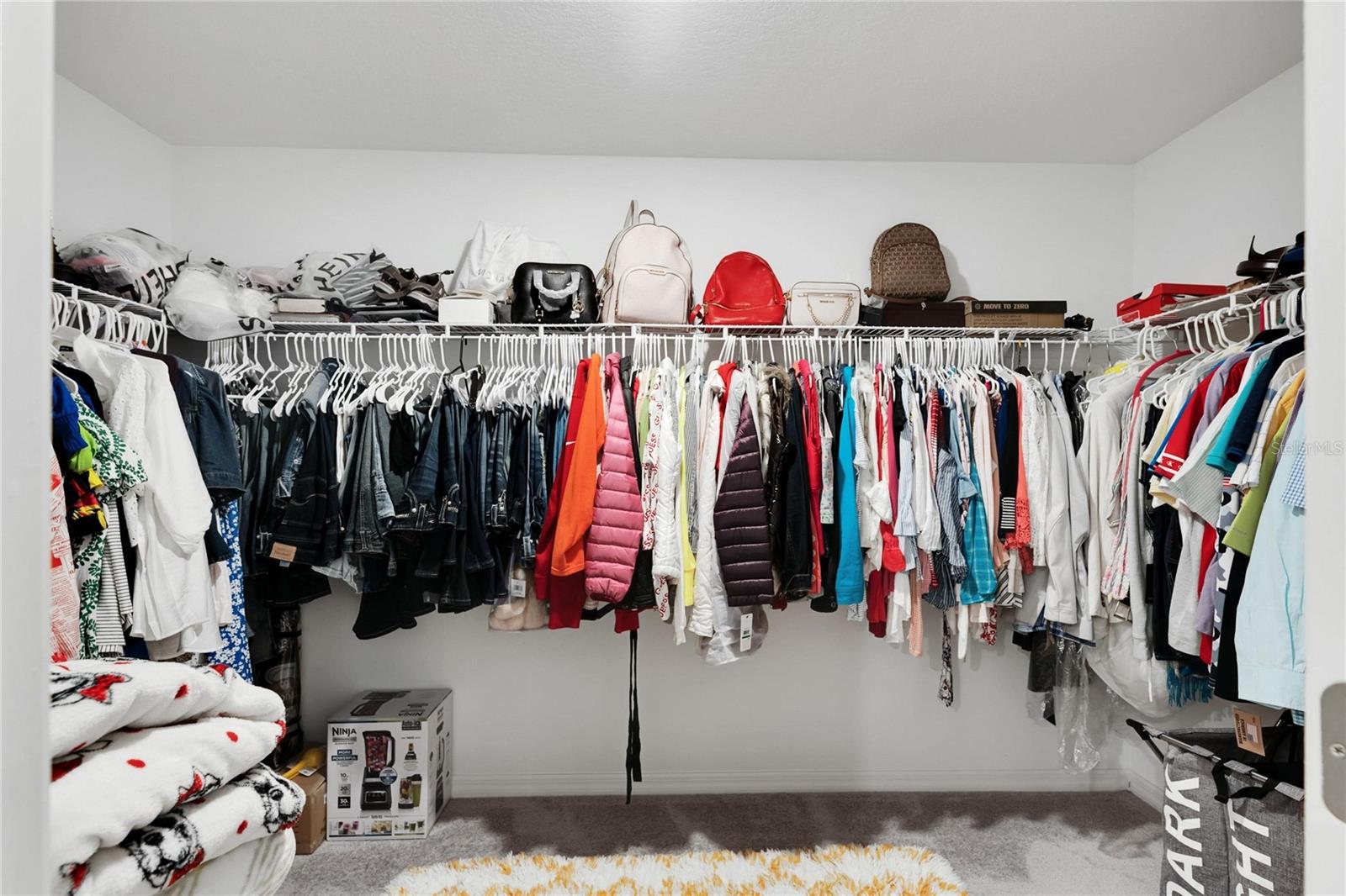 12832 WILDFLOWER MEADOW DR, RIVERVIEW, FL, 33579