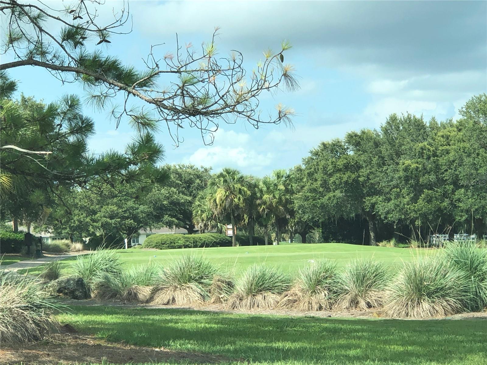 9994 SW 96TH ST, OCALA, FL, 34481