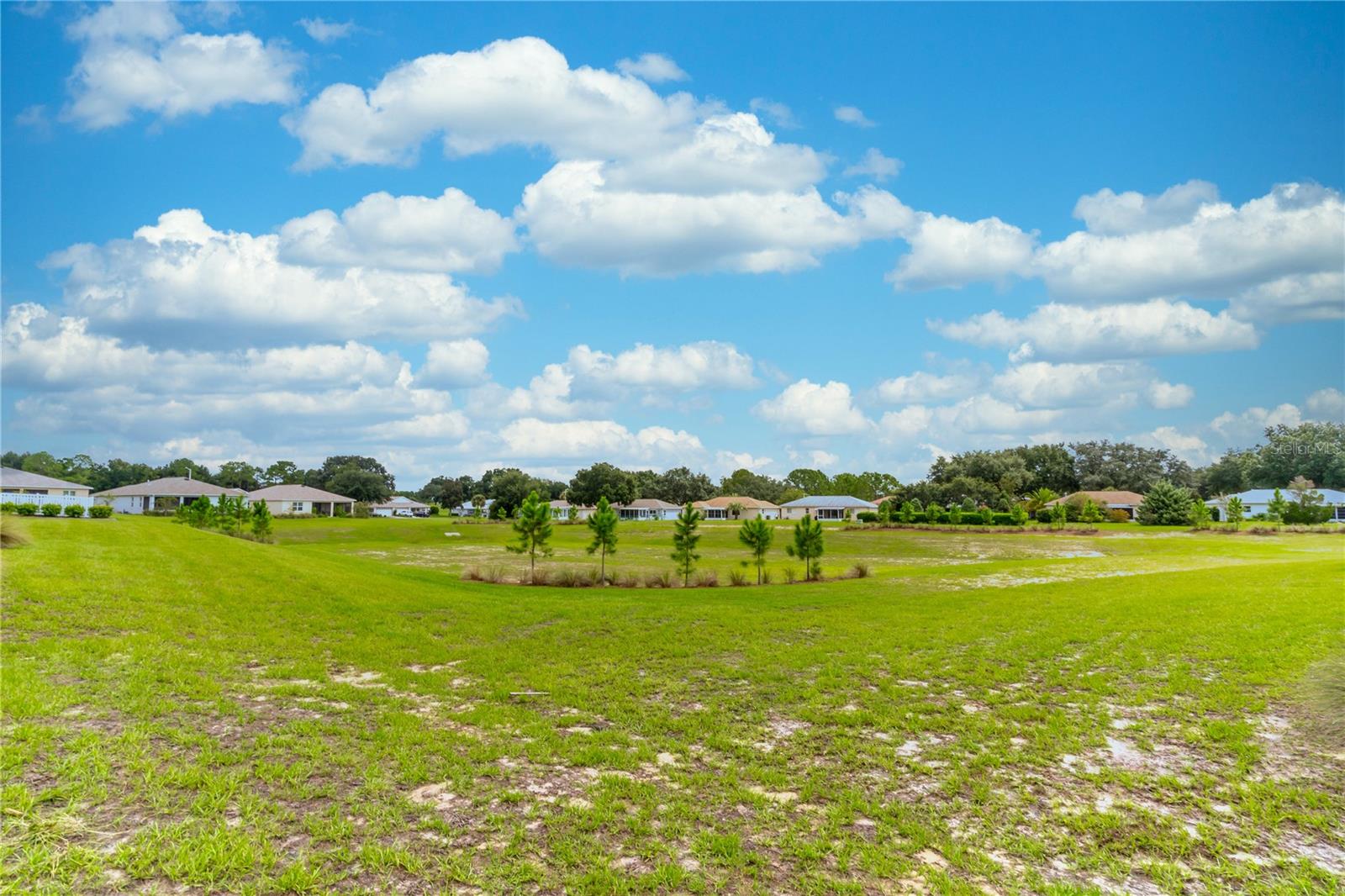 9994 SW 96TH ST, OCALA, FL, 34481