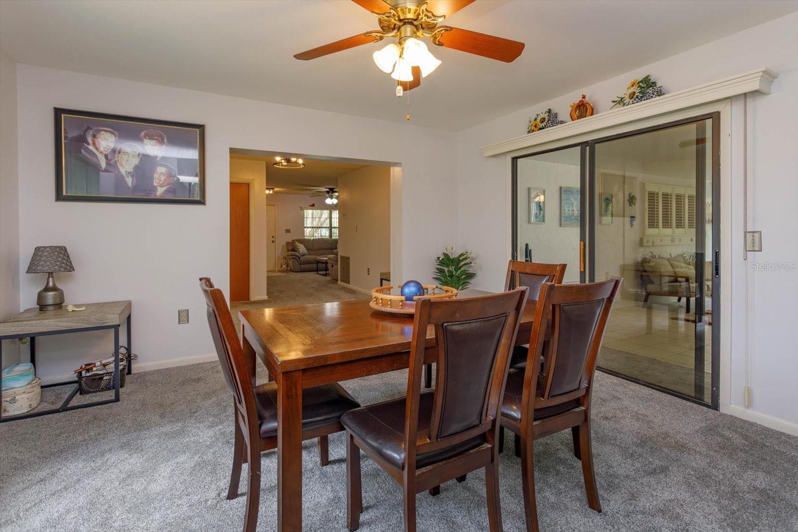 331 DOUGLAS DR, EUSTIS, FL, 32726