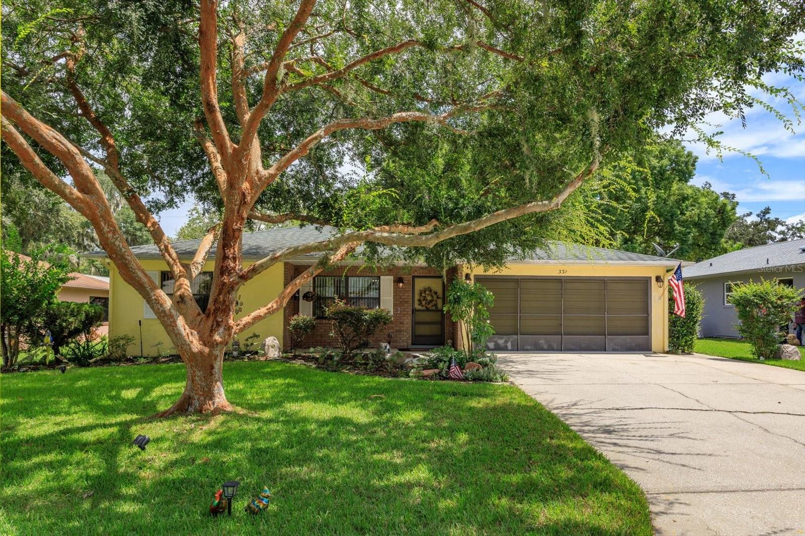 331 DOUGLAS DR, EUSTIS, FL, 32726