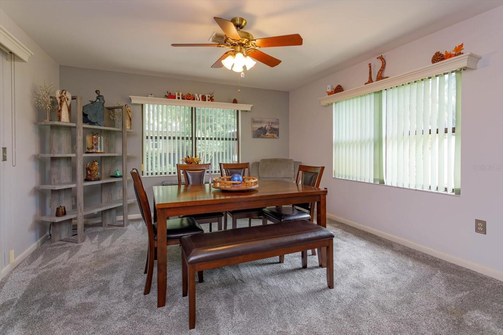 331 DOUGLAS DR, EUSTIS, FL, 32726