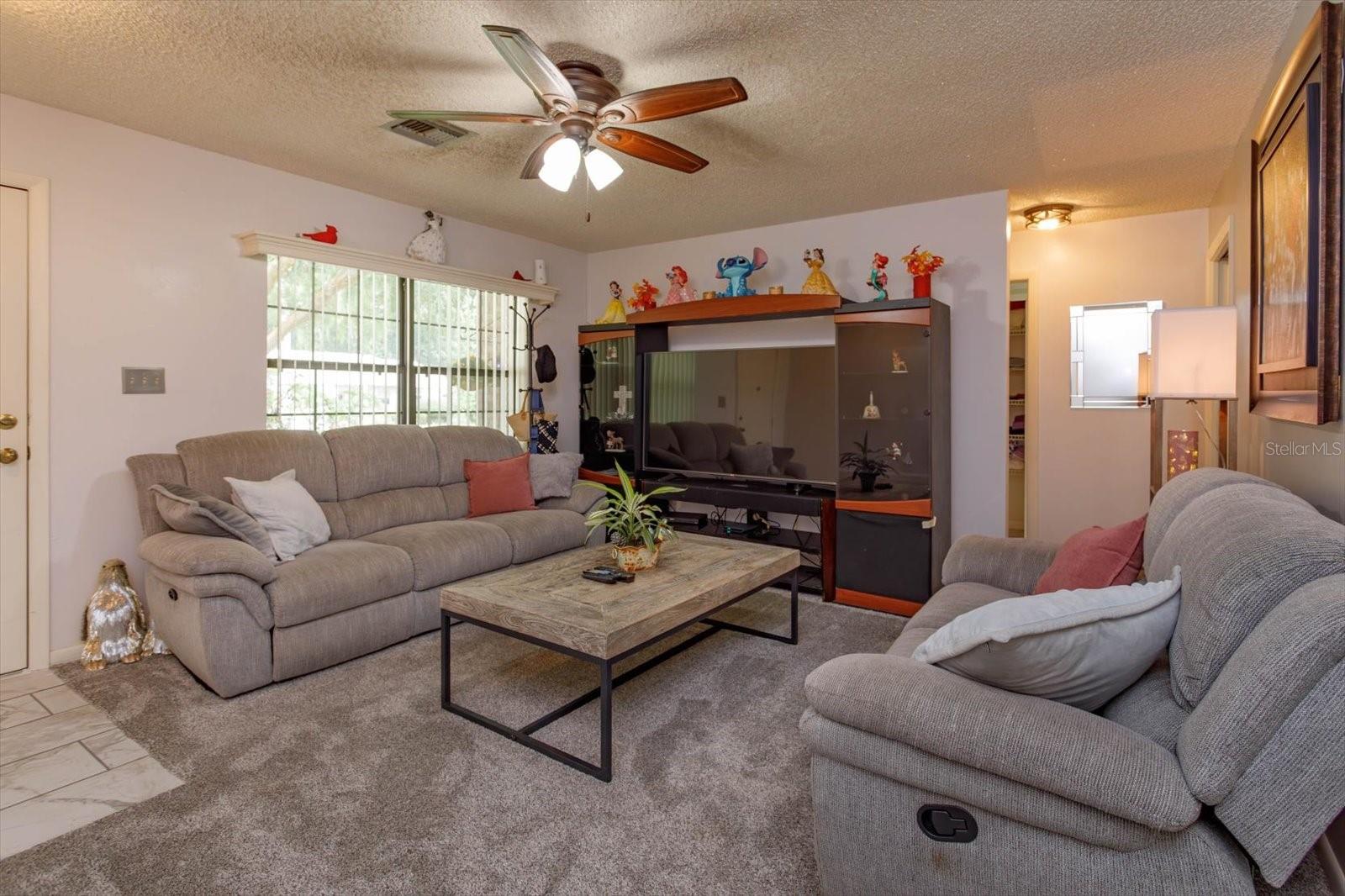 331 DOUGLAS DR, EUSTIS, FL, 32726