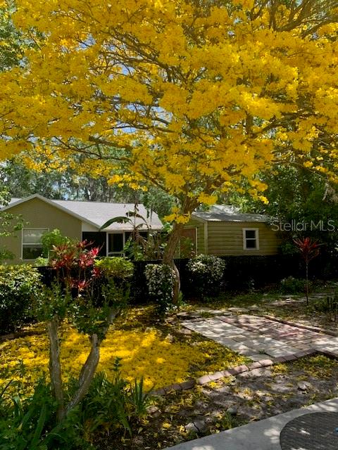 331 DOUGLAS DR, EUSTIS, FL, 32726