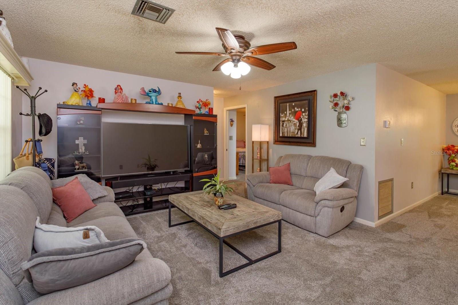 331 DOUGLAS DR, EUSTIS, FL, 32726
