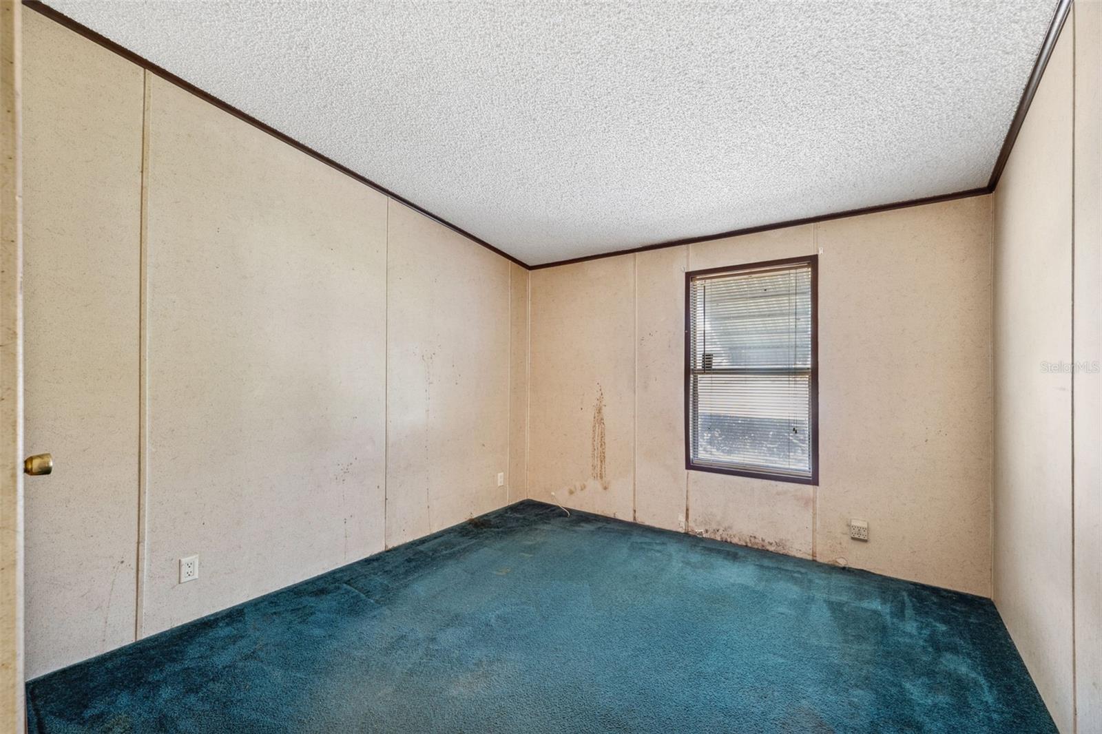 10031 E FOWLER AVE, THONOTOSASSA, FL, 33592
