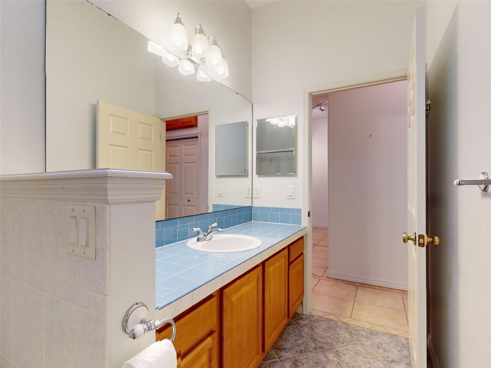 1311 MANDARIN LN, FRUITLAND PARK, FL, 34731