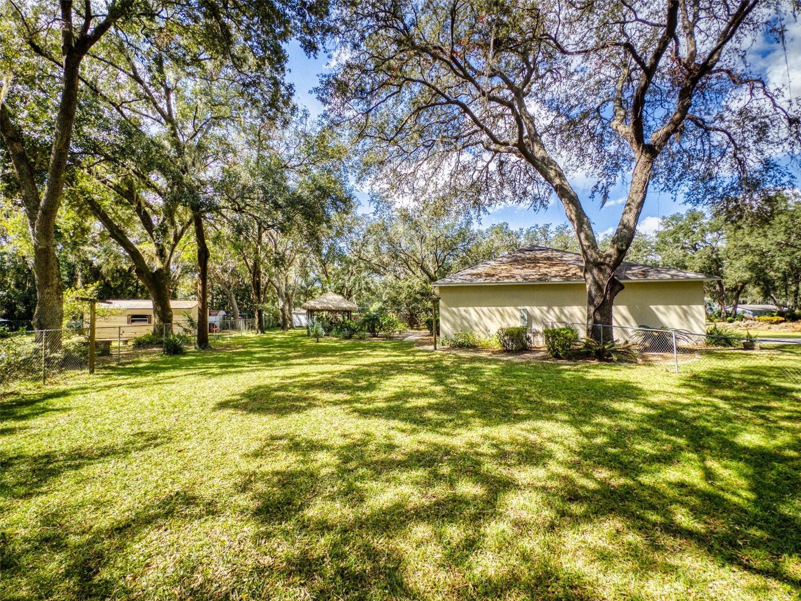 1311 MANDARIN LN, FRUITLAND PARK, FL, 34731