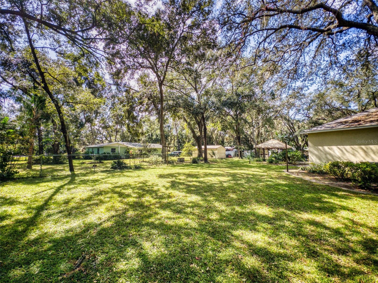1311 MANDARIN LN, FRUITLAND PARK, FL, 34731