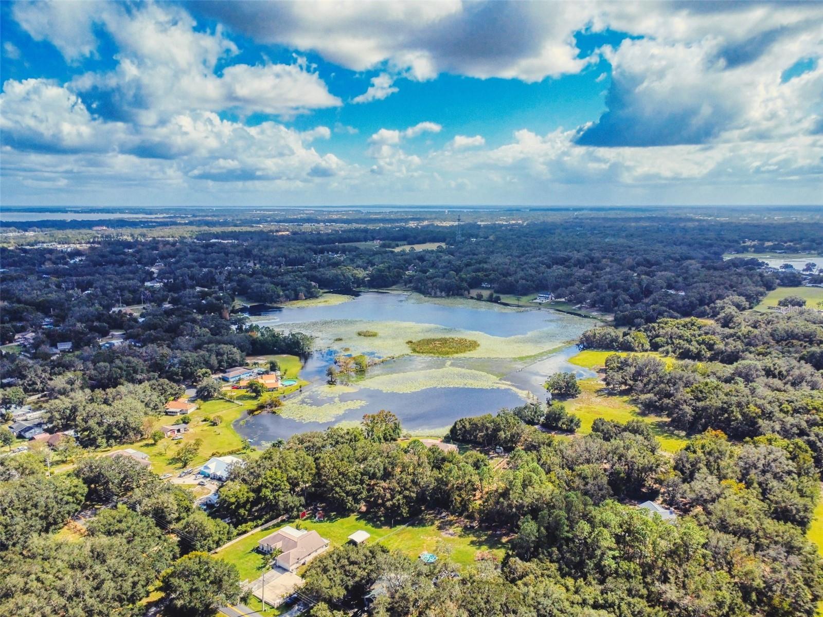 1311 MANDARIN LN, FRUITLAND PARK, FL, 34731
