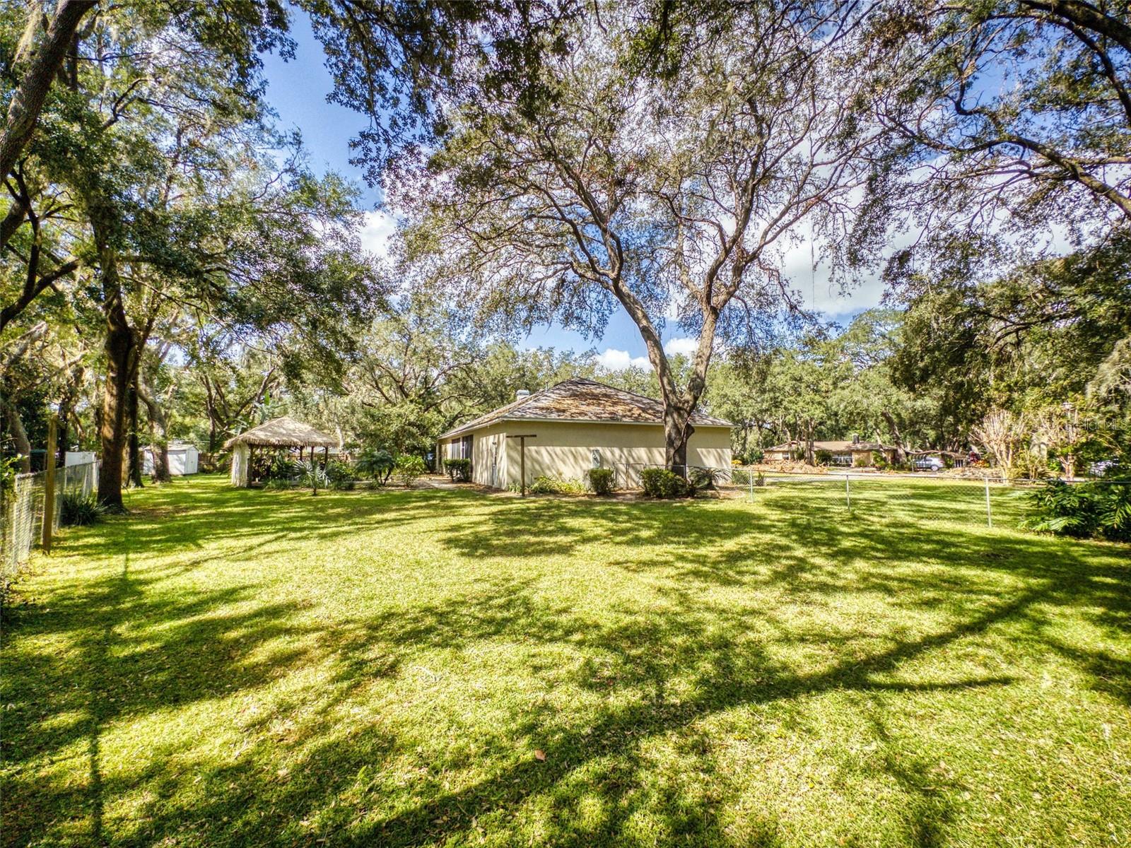 1311 MANDARIN LN, FRUITLAND PARK, FL, 34731