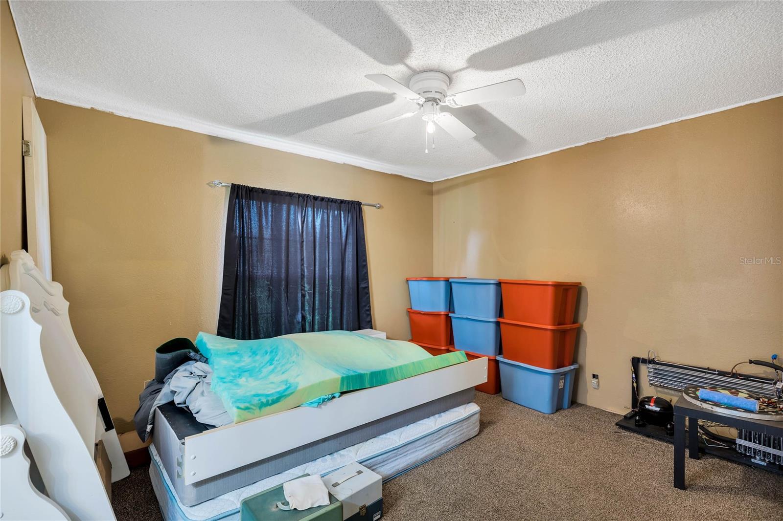 1959 SR 50, WEBSTER, FL, 33597