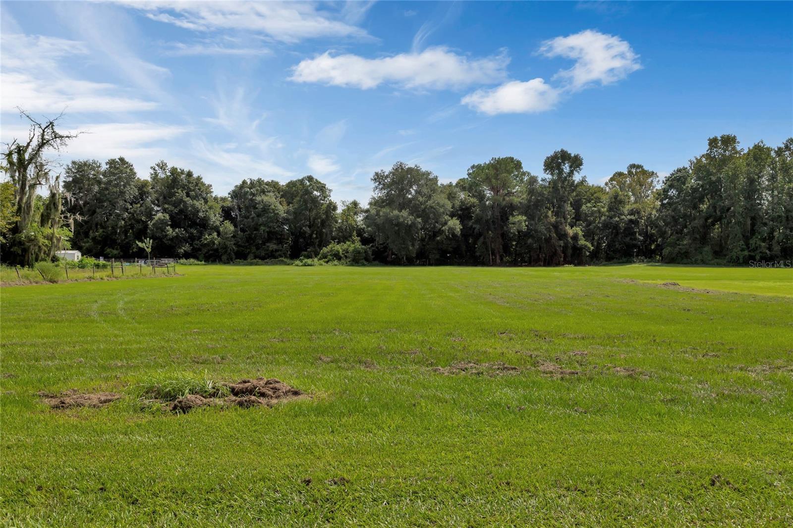 1959 SR 50, WEBSTER, FL, 33597