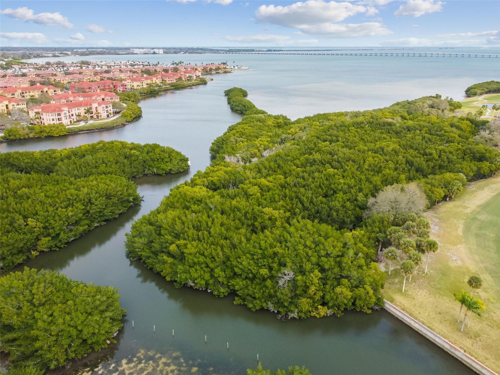 2620 COVE CAY DR #107, CLEARWATER, FL, 33760